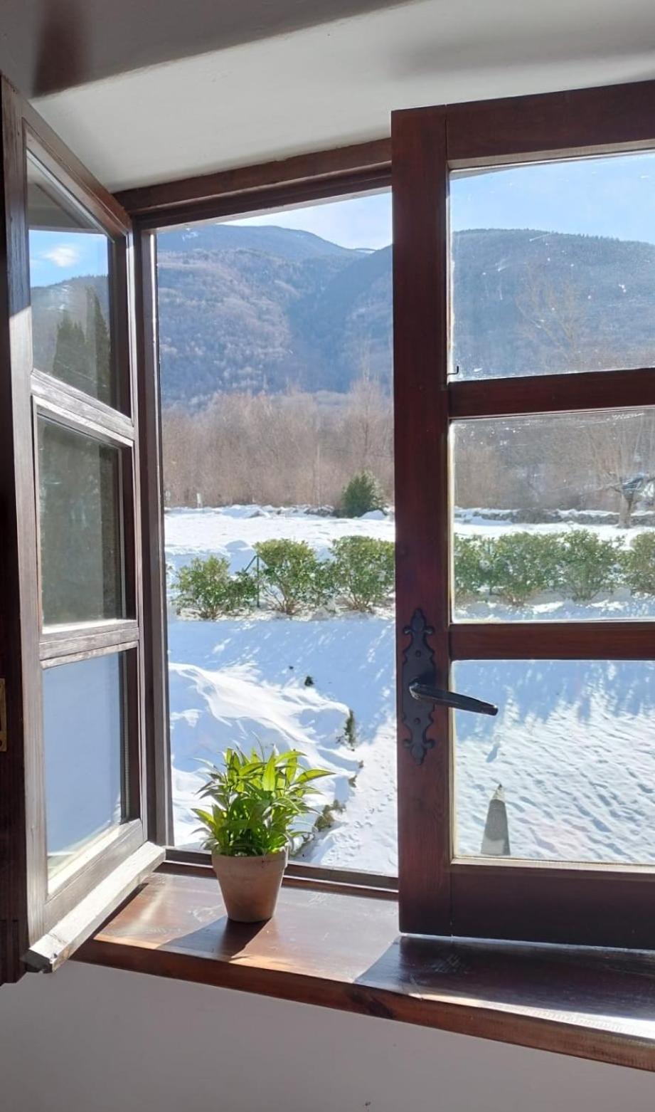 Apartamento De La Marmota Eriste Luaran gambar